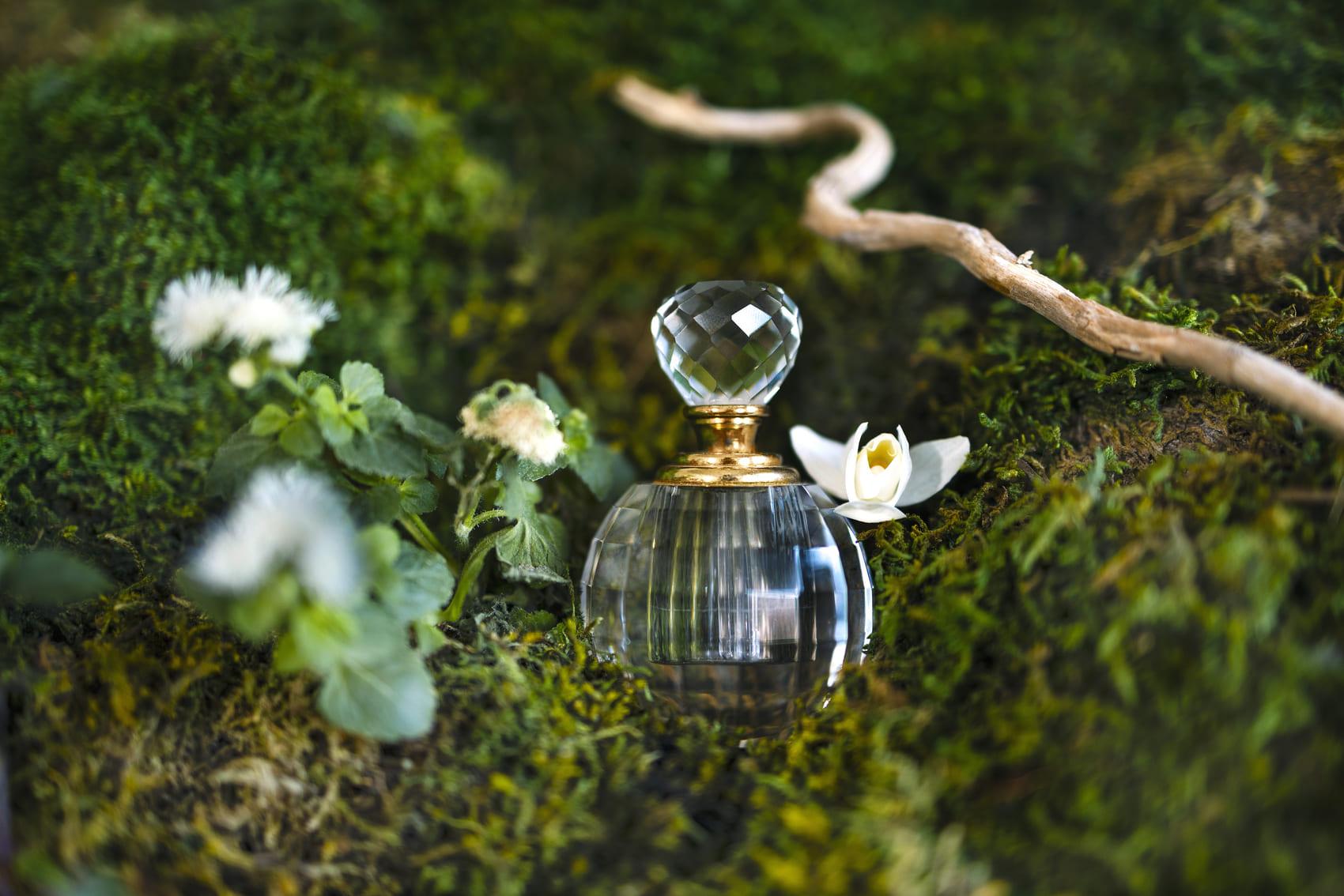 ผู้เชี่ยวชาญช่วยเลือก: น้ำหอมที่ใช่สำหรับคุณส่งตรงถึงบ้าน